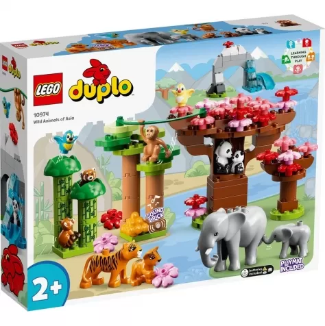 10974 - animali dell’asia