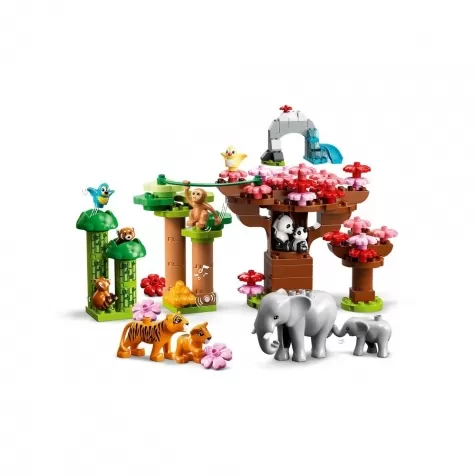 10974 - animali dell’asia