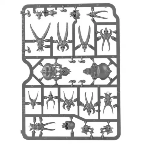 citadel skulls: 5