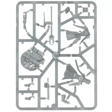 age of sigmar: guerriero: 8