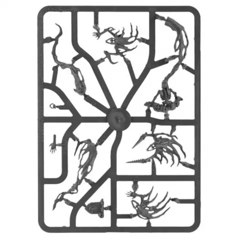 nighthaunt spirit hosts