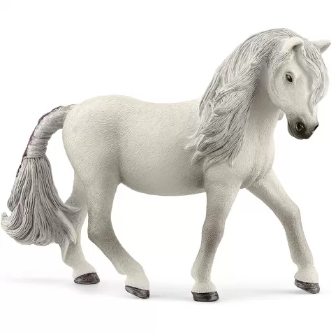 cavalla pony islandese
