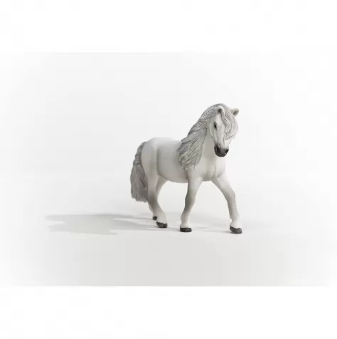cavalla pony islandese