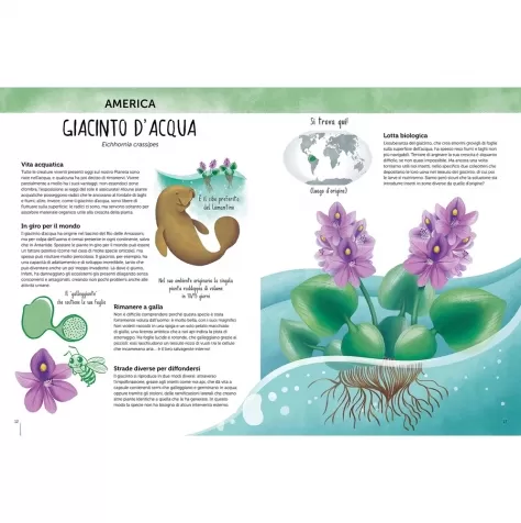 reference books - atlante della biodiversita - flora del mondo