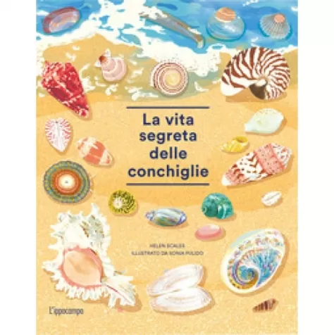 la vita segreta delle conchiglie. album scoperte