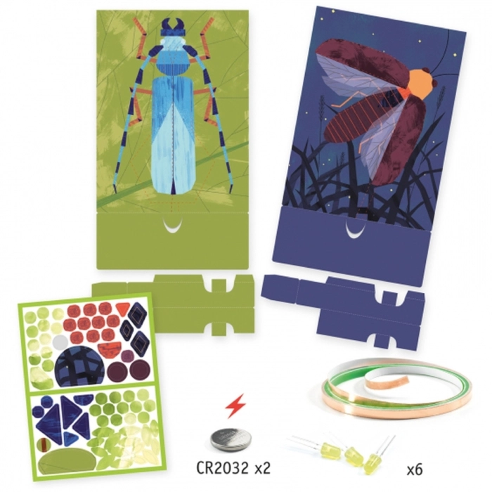 quadri illuminati - insetti