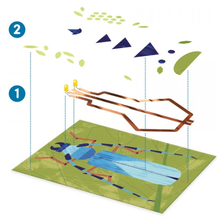 quadri illuminati - insetti