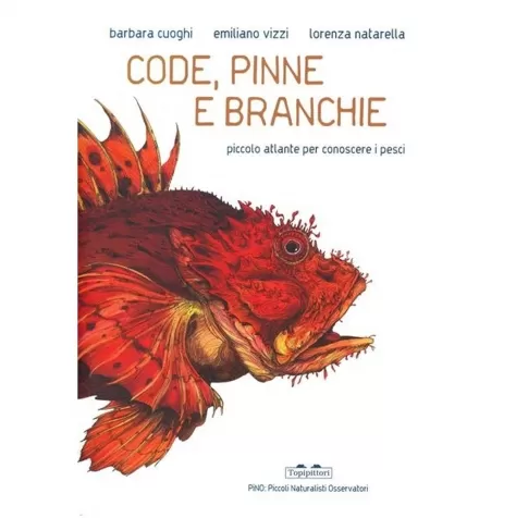 code, pinne e branchie. piccolo atlante per conoscere i pesci