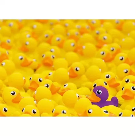 paperelle challenge - puzzle 1000 pezzi