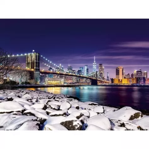 inverno a new york - puzzle 1500 pezzi