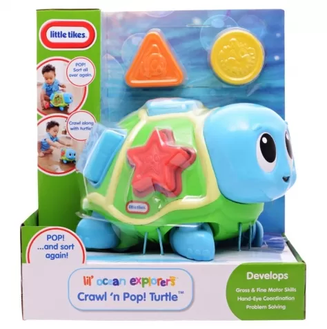 crawl 'n pop turtle