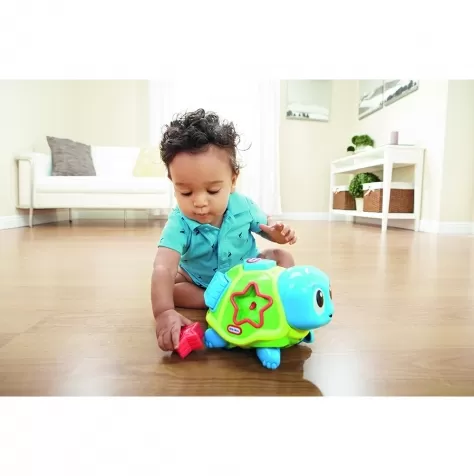 crawl 'n pop turtle