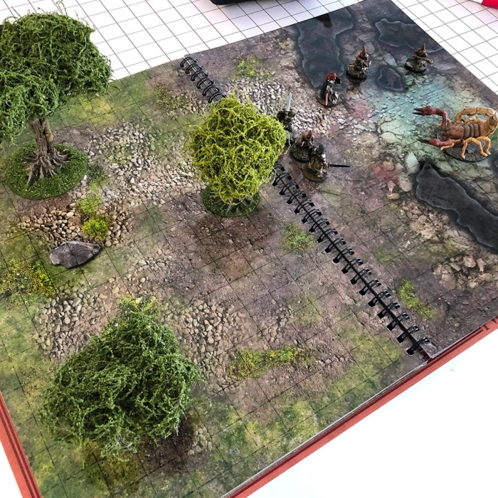 combat book fantasy