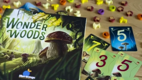wonder woods
