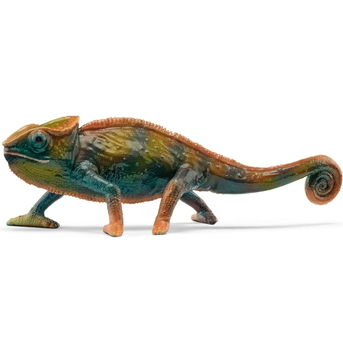 camaleonte