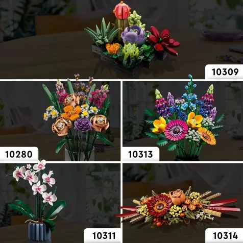 10314 - centrotavola di fiori secchi: 8