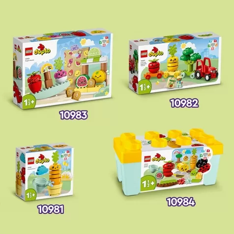 10983 - mercato biologico: 6