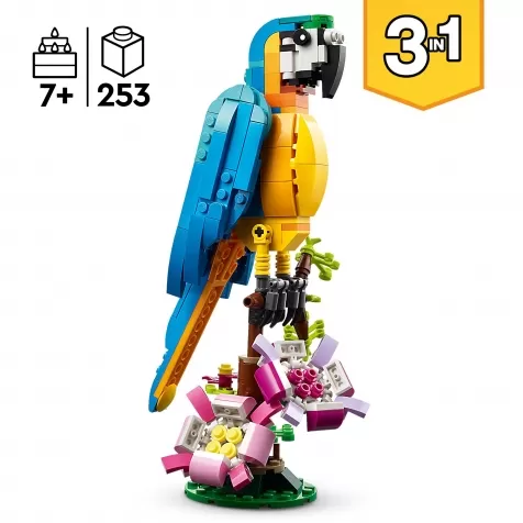 31136 - pappagallo esotico