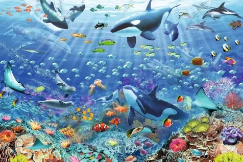 variopinto mondo subacqueo - puzzle 3000 pezzi