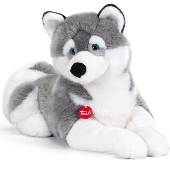 husky marcus - peluche 80cm