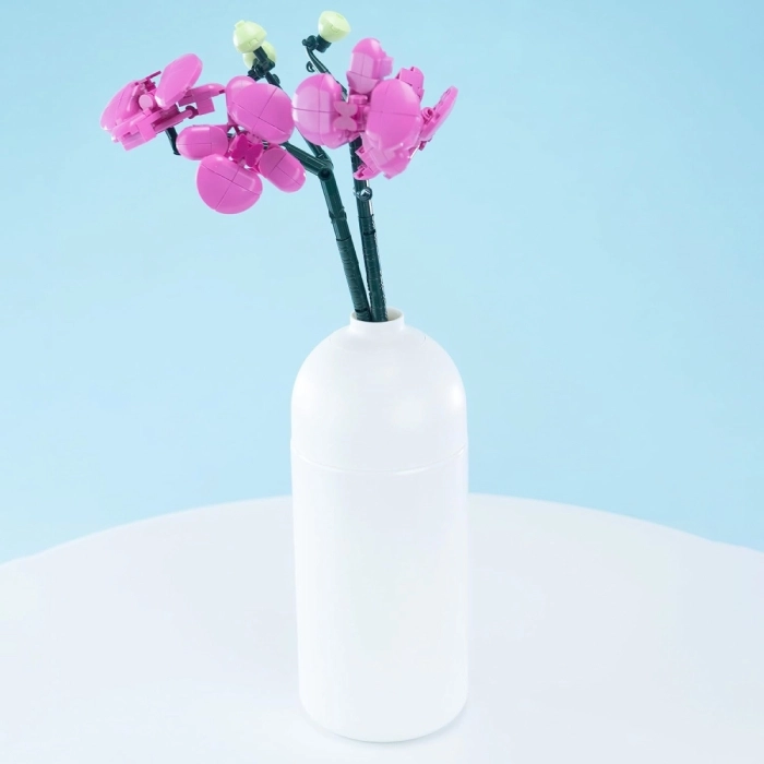 butterfly orchid  con vaso - 253 pezzi