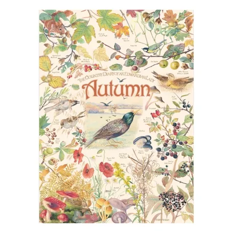 country diary: autumn - puzzle 1000 pezzi