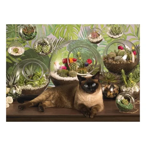 terrarium cat - puzzle 1000 pezzi