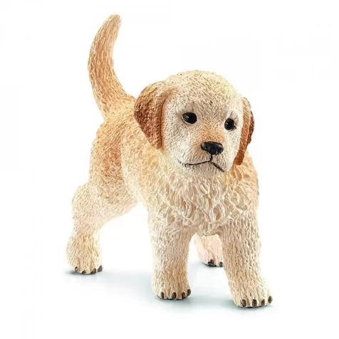 golden retriever cucciolo