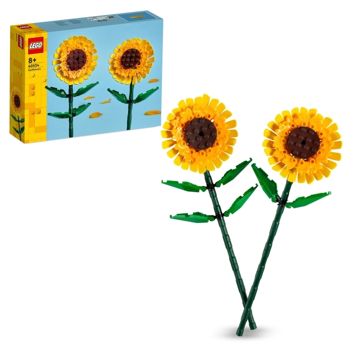 40524 - girasoli