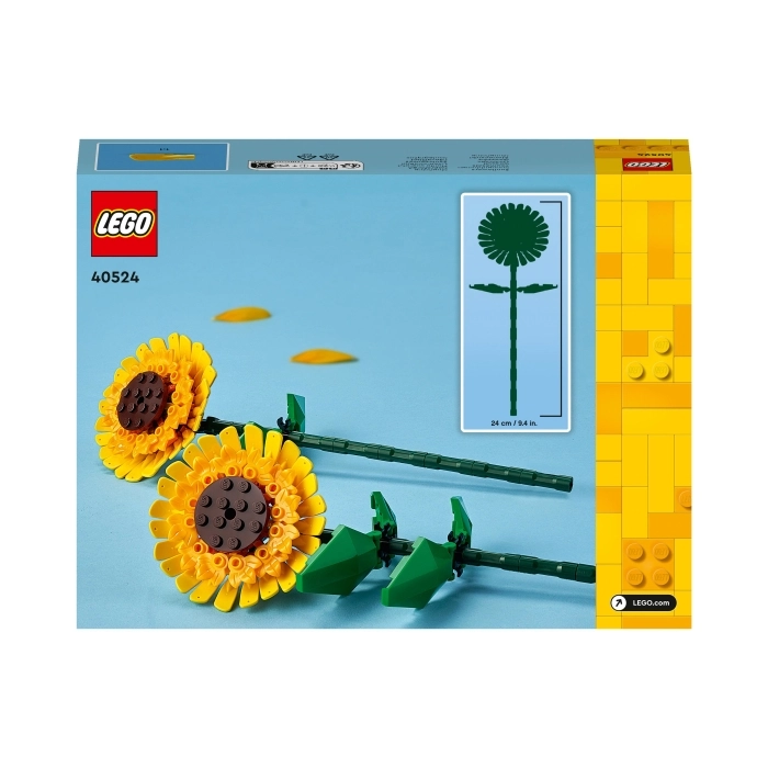 40524 - girasoli