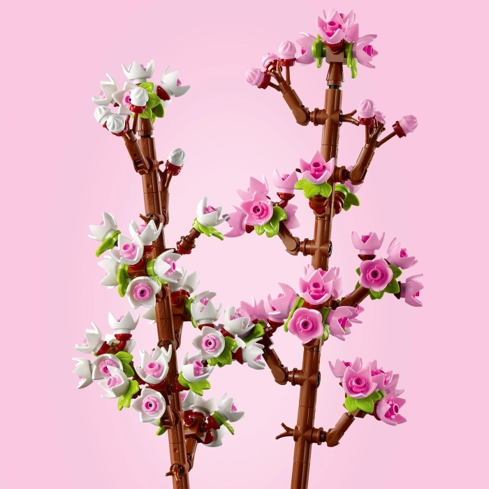 40725 - fiori di ciliegio