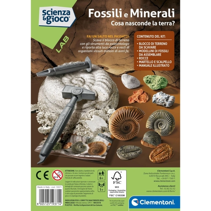 scienza e gioco - fossili e minerali