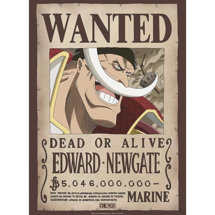 one piece - poster maxi 91,5x61cm - wanted whitebeard