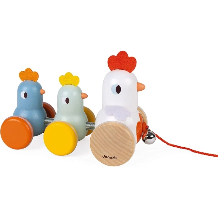 gallina e pulcini da trainare