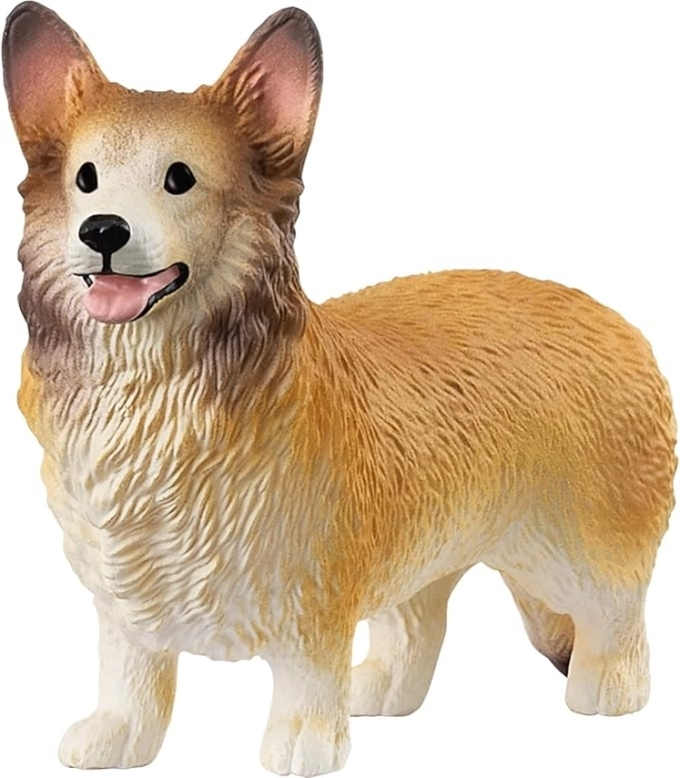 corgi gallese: 1