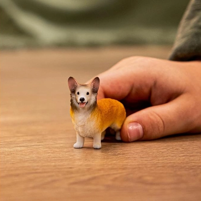 corgi gallese: 2