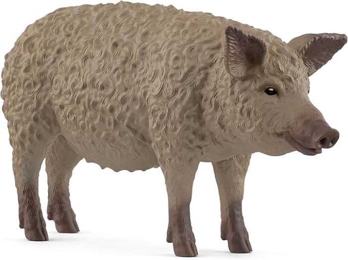 maiale mangalica