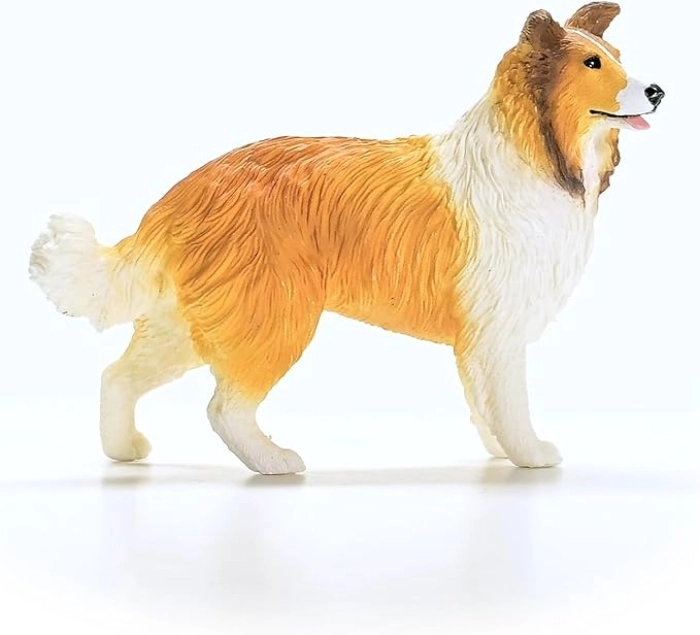 collie: 2
