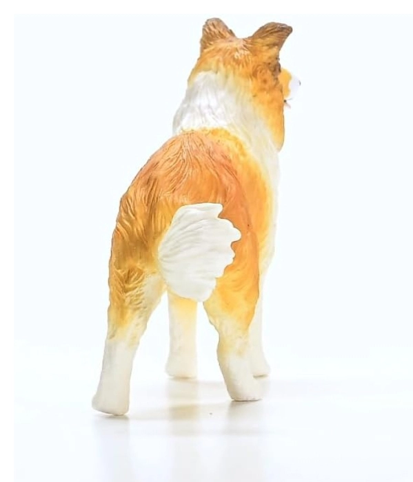 collie: 3