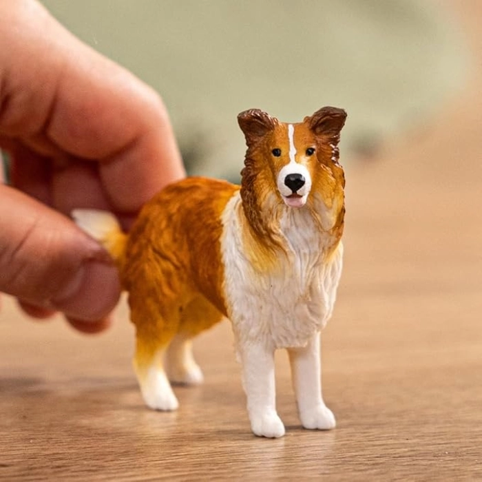 collie: 4