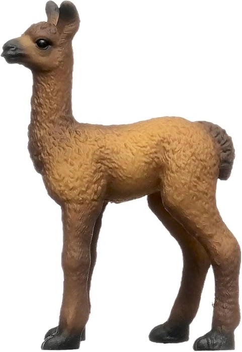cucciolo di lama: 2