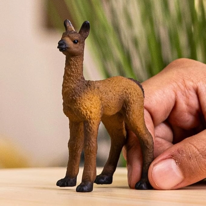 cucciolo di lama: 3