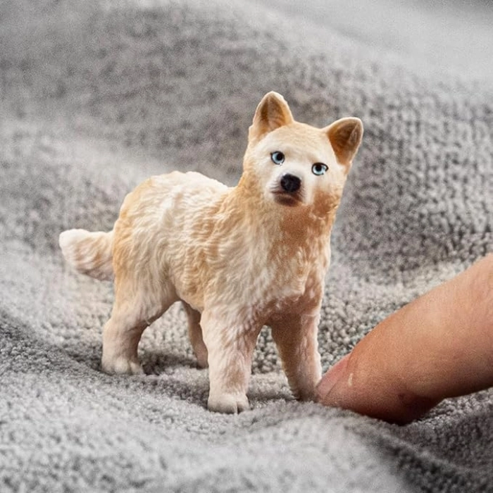 cucciolo di lupo artico: 2
