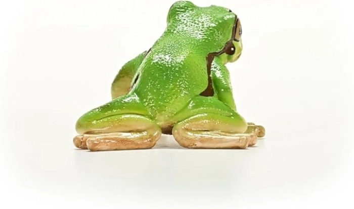 raganella europea: 2