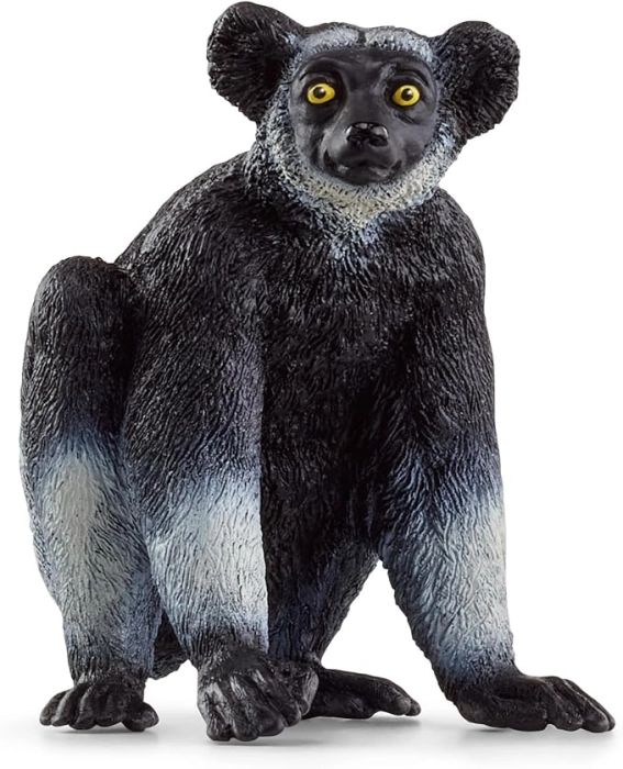 indri: 1