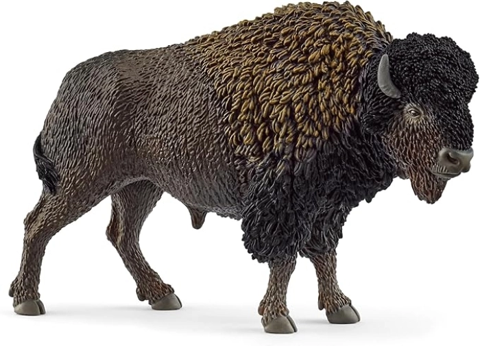 bisonte: 1