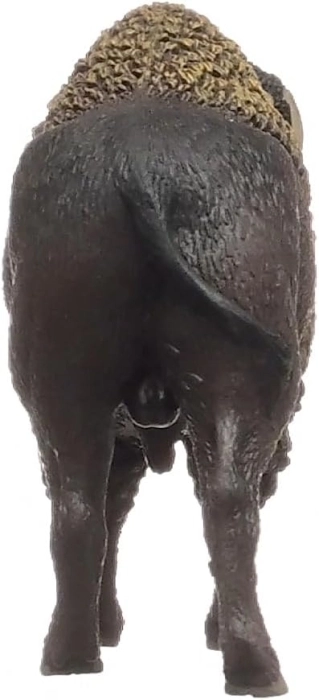 bisonte: 2
