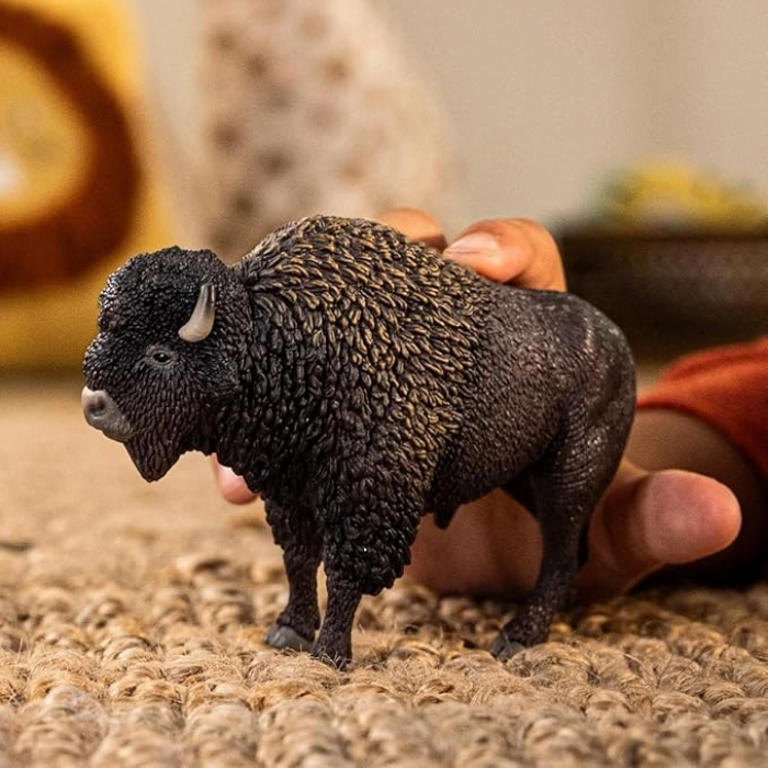 bisonte: 3
