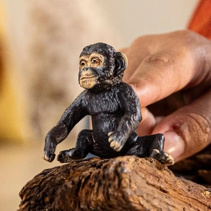cucciolo di chimpanzee: 3
