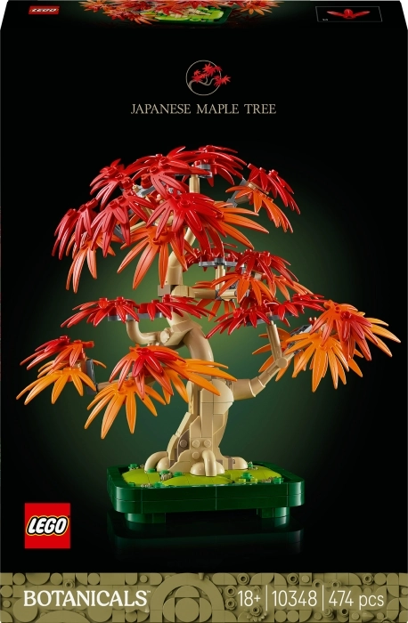 10348 - bonsai di acero rosso giapponese: 1
